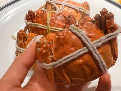 -杨氏青龙虾·羊蝎子(托乐嘉店)