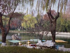 -佬钱湾仔(衣裳街店)