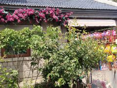 -山东八大碗山东老字号