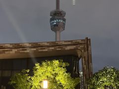 -陕西自然博物馆