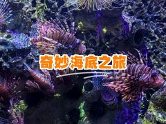 -太平洋海底世界