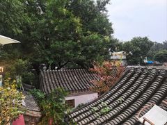 -四喜小胖·北京涮肉(五道营店)
