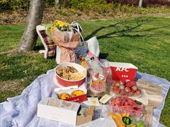 -昆山城市生态森林公园