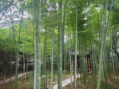 -绳金塔