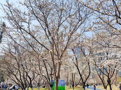 -西北湖绿化广场