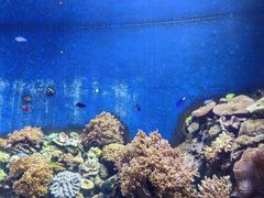 -珠海长隆海洋王国