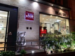-798·beaver海狸荟
