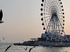 -琴岛之星摩天轮