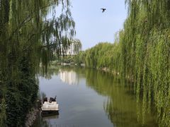 -南翠屏公园