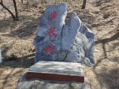 -北京十三陵国家森林公园蟒山景区