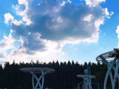 -黄海国家森林公园