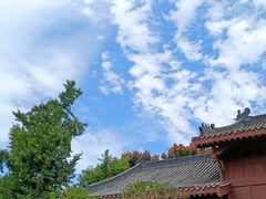-眉山湿地公园(东坡区)