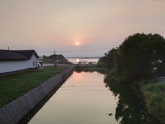 -莲花岛景区