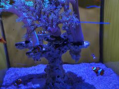 -大连圣亚海洋世界