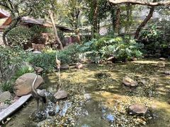 -广州兰圃