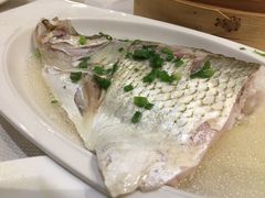 白水鱼-太湖饭店·寄畅轩中餐厅