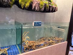 -外滩·云南人家(昆明旗舰店)