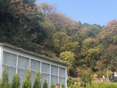 -山也·私厨(岳麓店)