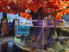 -成都浩海立方海洋公园