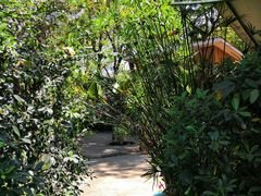 -Fern Forest Cafe