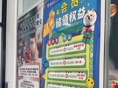 -瑞派长江宠物医院·猫科·外科·24小时夜护(谊城公寓分院)