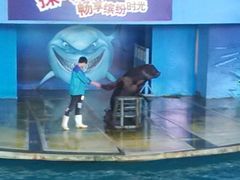 -苏州海洋馆