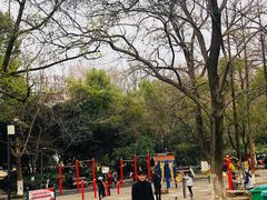 -赭山公园