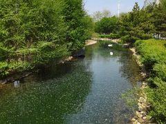 -长白岛森林公园