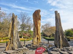 -金钉子远古世界景区