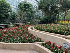 -南山植物园