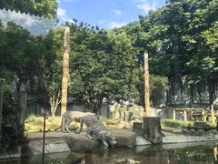 -常州淹城野生动物世界