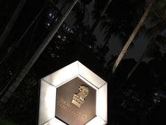 -新加坡丽思卡尔顿美年酒店