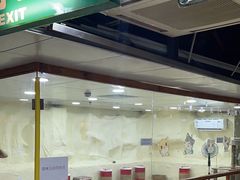 -上海大自然野生昆虫馆(东方明珠·爬宠昆虫探索中心)