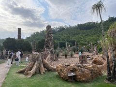 -深圳仙湖植物园