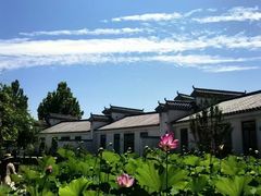 -白洋淀景区