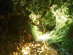 -广州市白云山风景名胜区