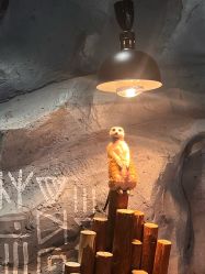 -Zoolung Zoolung动物主题公园(海信广场店)