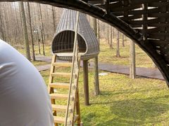 -黄海国家森林公园