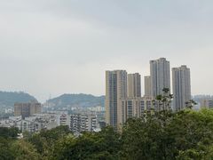 -福道