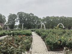 -石家庄市植物园
