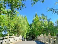 -同里国家湿地公园