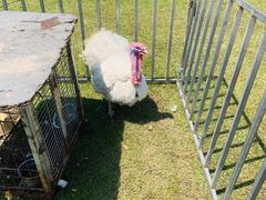 -千龙湖生态旅游度假区