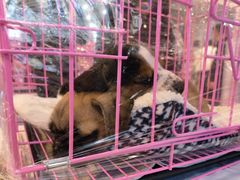 -方恒购物中心(望京小街店)