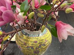 -宫事颐庭·老佛爷贵寿下午茶(颐和园店)