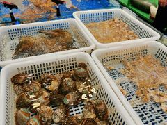 -飞尝蚝·顺德菜·鱼生(顺德总店)