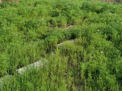 -北化机爱工场文化科技融合产业园