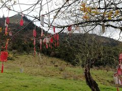 -硗碛藏寨·神木垒景区