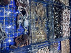 -高佳庄·舟山海鲜(海景旗舰店)