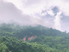-英德宝晶宫天鹅湖茶语温泉