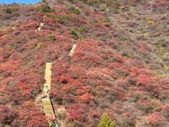 -水峪民俗村
